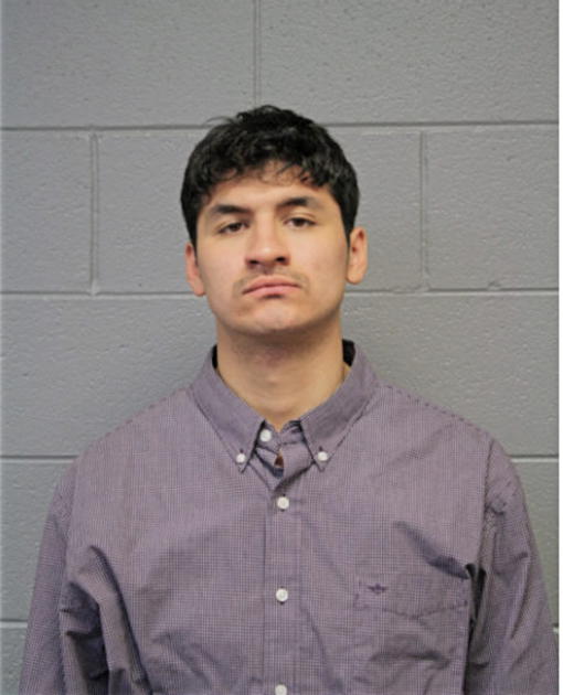 GUSTAVO C ALMARAZ, Cook County, Illinois