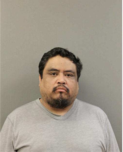 HUGO H ALVAREZ, Cook County, Illinois