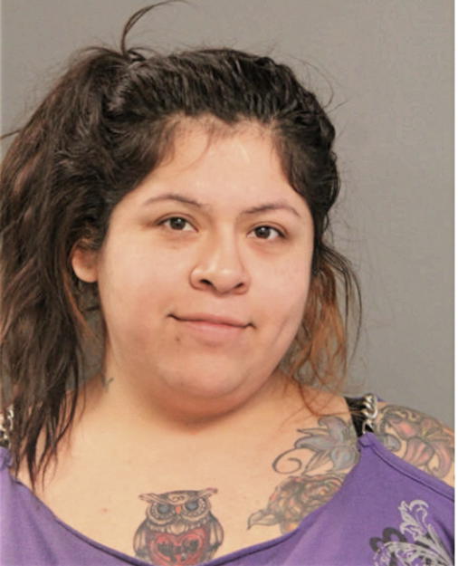 CINDY P AMADOR, Cook County, Illinois