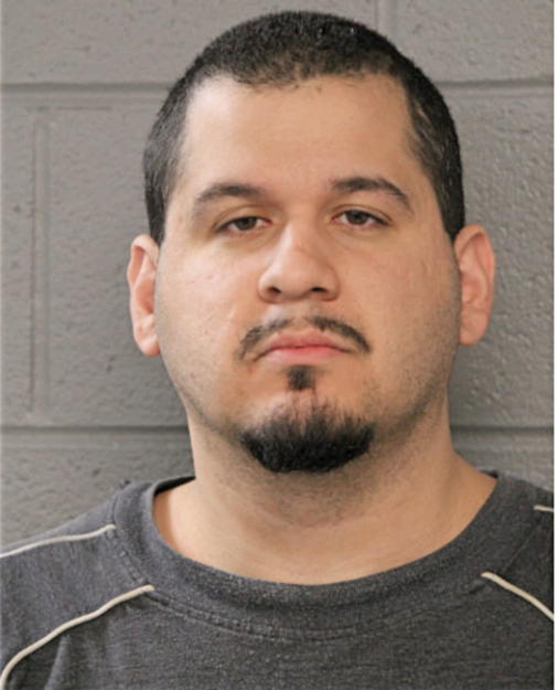 ALEJANDRO ANAYA, Cook County, Illinois