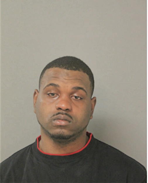 BERTRUM T ANDERSON, Cook County, Illinois