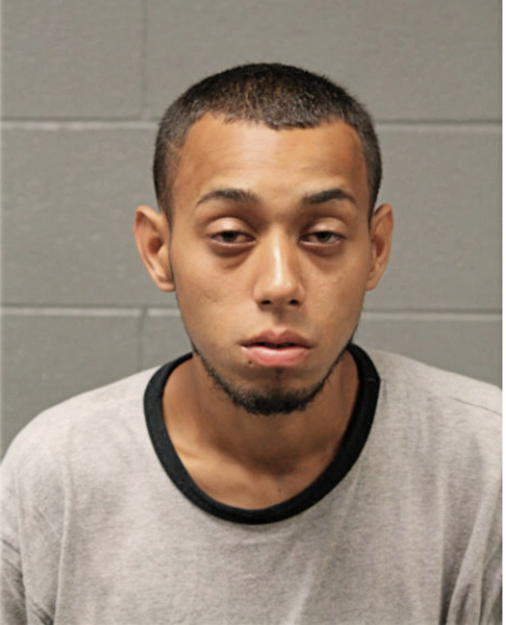 LUIS MIGUEL ARZUAGA, Cook County, Illinois