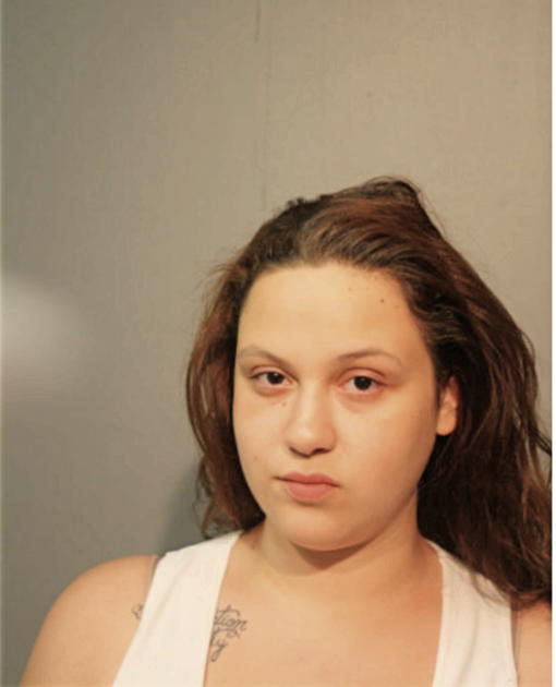 ERICA BORGES, Cook County, Illinois