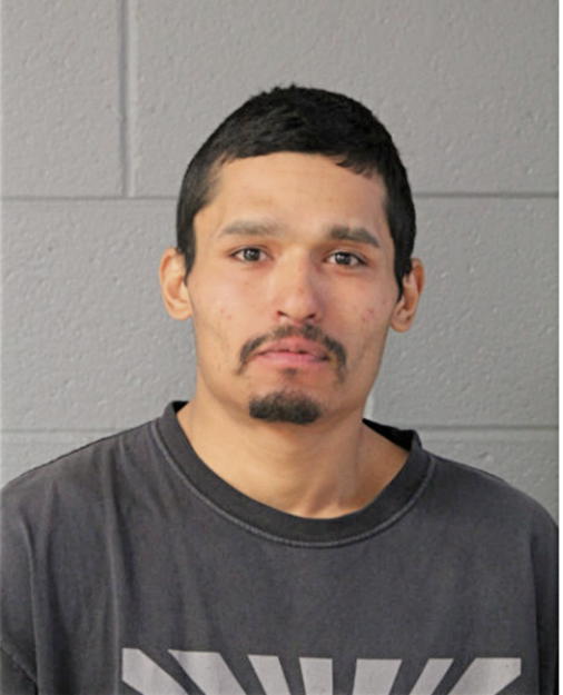DAVID C CALVILLO, Cook County, Illinois