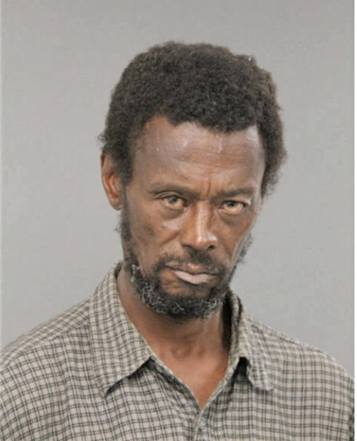 DAVID A ECHOLS, Cook County, Illinois