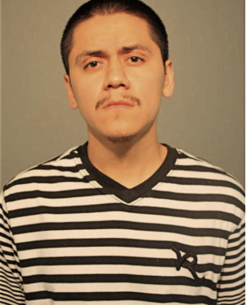 CESAR FUERTE, Cook County, Illinois