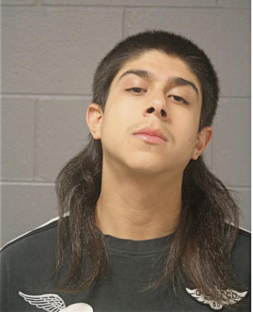 LUIS JIMENEZ, Cook County, Illinois
