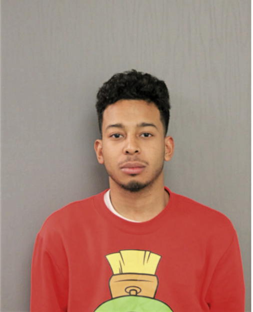 ERICK E LEWIS, Cook County, Illinois