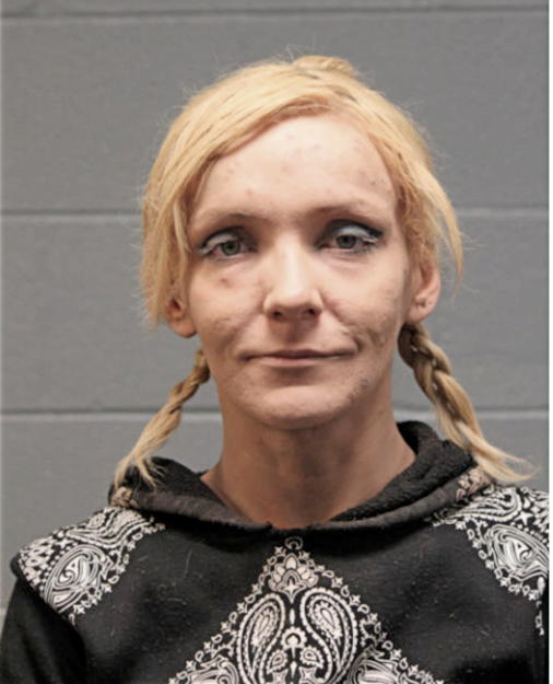 SYLVIA LISOWSKA, Cook County, Illinois