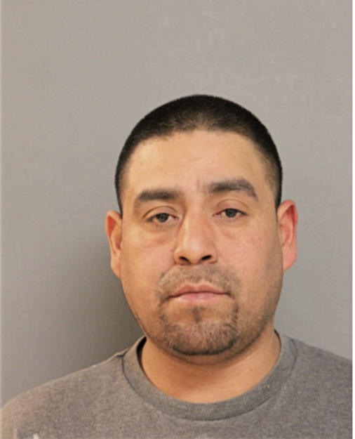 LUIS A MACHADO, Cook County, Illinois