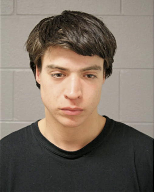 CARLOS M MONTERO, Cook County, Illinois
