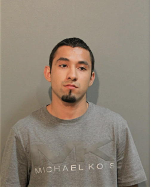 LUIS MUNOZ-HUERTA, Cook County, Illinois