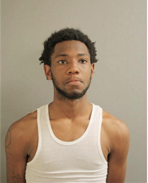 MARIO F NORMAN, Cook County, Illinois