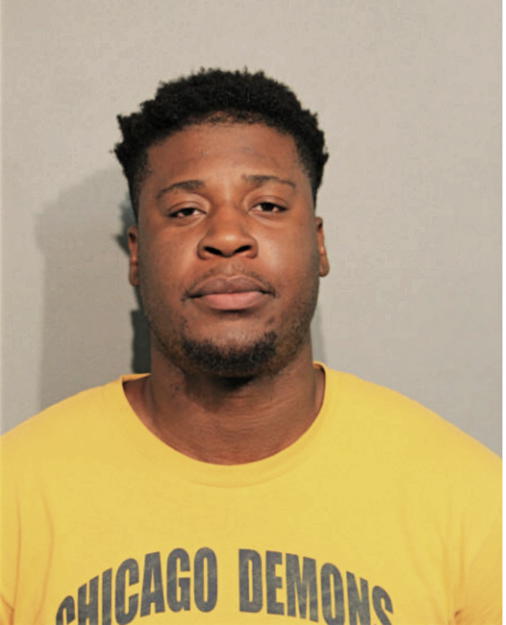 ARINZE P OKEKE, Cook County, Illinois