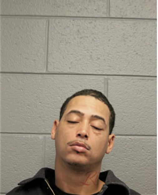 BRIAN K OLLIE, Cook County, Illinois