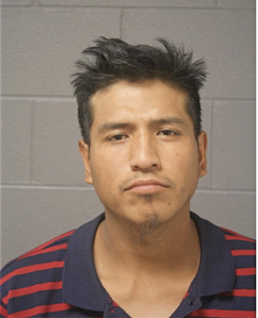 ANTONIO ORTEGA, Cook County, Illinois