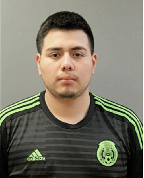 OSCAR R ORTEGA, Cook County, Illinois