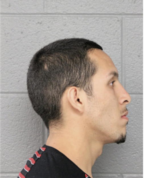 ROGELIO RECENDEZ, Cook County, Illinois