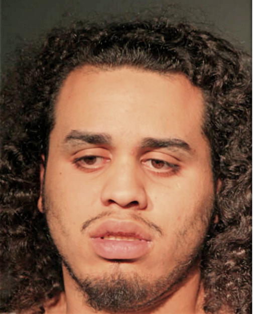 JOHNSIE B RODRIGUEZ, Cook County, Illinois