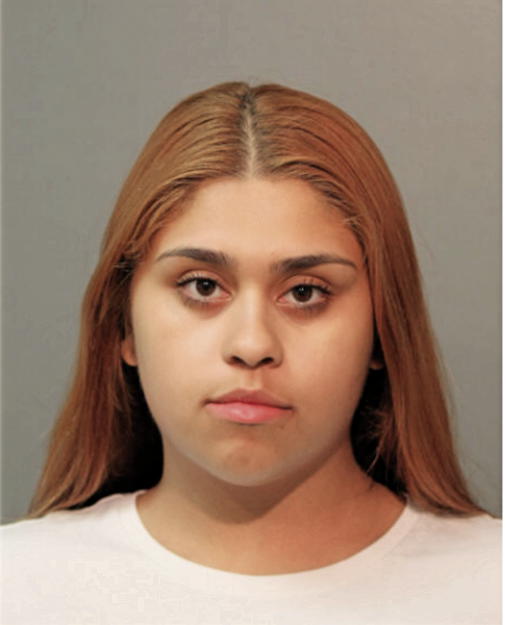 NICOLE D ROSARIO, Cook County, Illinois