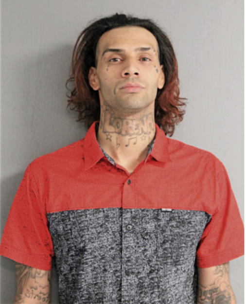 ABRAHAM H SANTANA, Cook County, Illinois