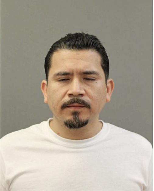 J DOLARES SEGURA-AREVALO, Cook County, Illinois