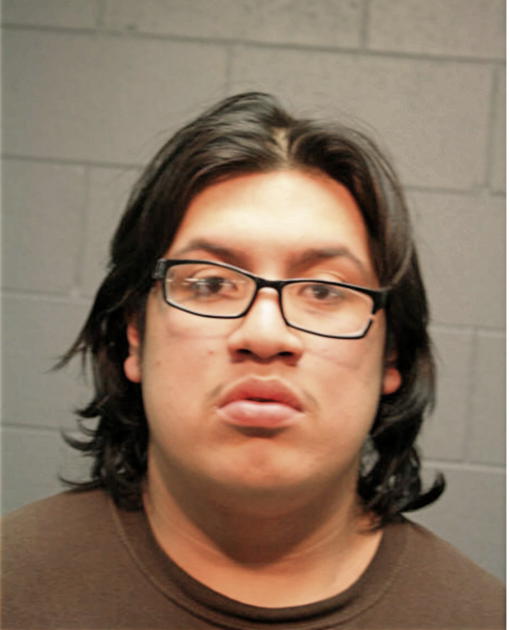 TERRY SOSA, Cook County, Illinois