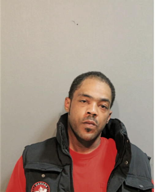 LEROY L TIMMONS, Cook County, Illinois