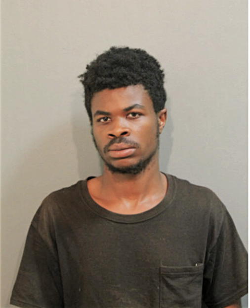 BRIAN K WILLIAMS, Cook County, Illinois
