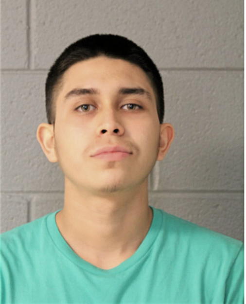 CESAR ZAPATA, Cook County, Illinois