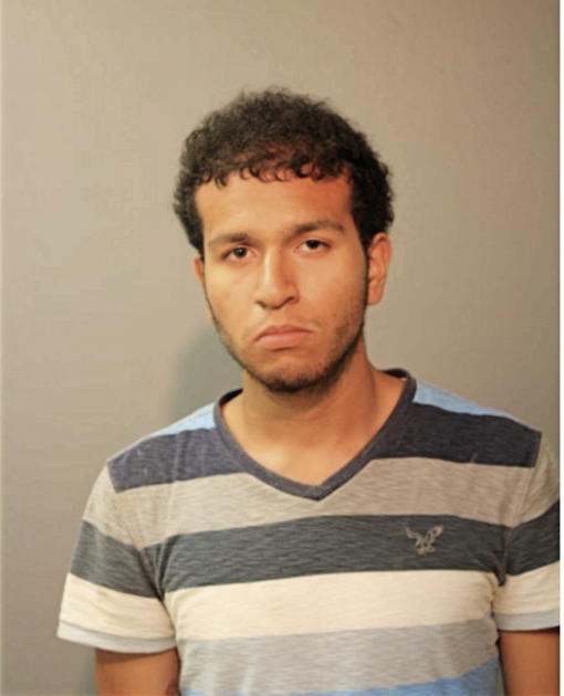 LEONARD F BAEZ, Cook County, Illinois