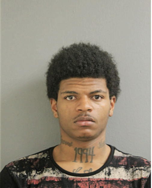 DERRICK A BROWN, Cook County, Illinois