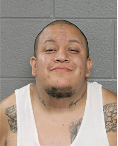 MICHAEL J BUCIO, Cook County, Illinois