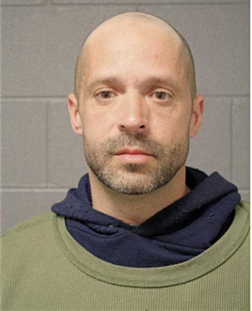 SEAN J BURDELIK, Cook County, Illinois