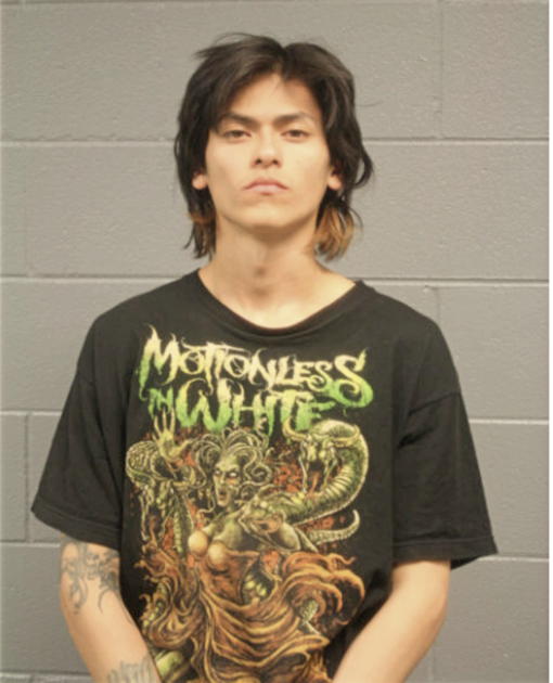 CARLOS EDUARDO CALIX, Cook County, Illinois