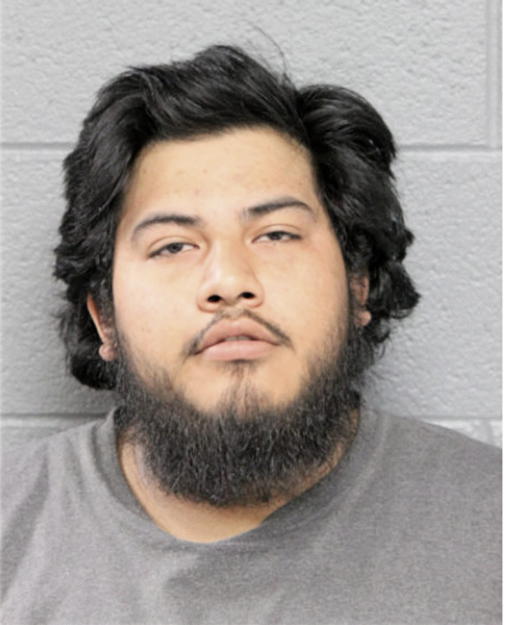 BRANDON CASTILLO, Cook County, Illinois