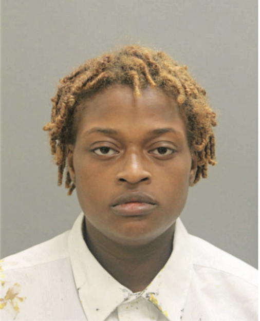 DELICE A CLEMONS, Cook County, Illinois