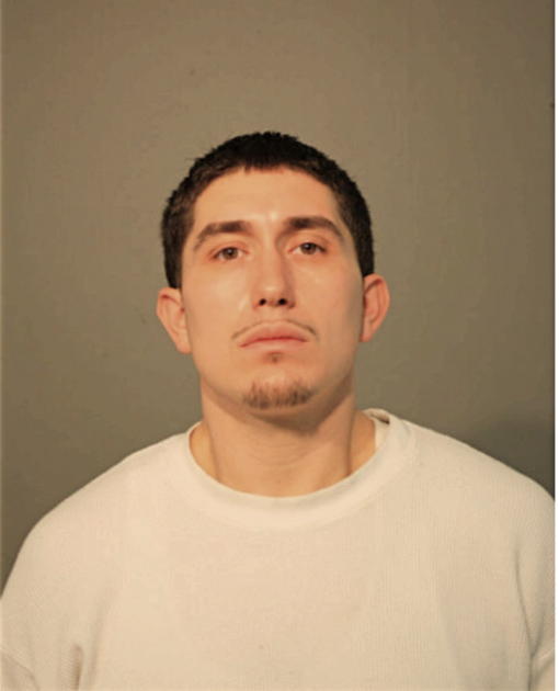 DAVID D DIAZ, Cook County, Illinois