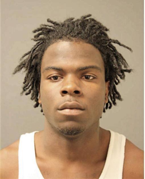 TERRANCE A ELANE, Cook County, Illinois