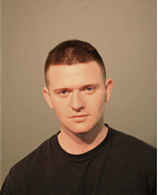 NICHOLAS E FARRELL, Cook County, Illinois