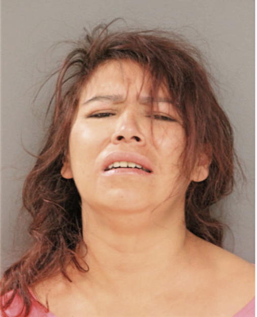 ANGELICA FLORES, Cook County, Illinois