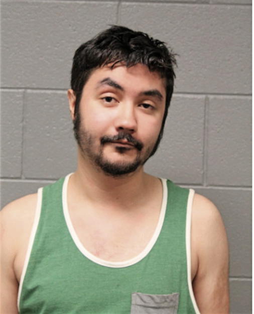 KYLE D GARVIN, Cook County, Illinois
