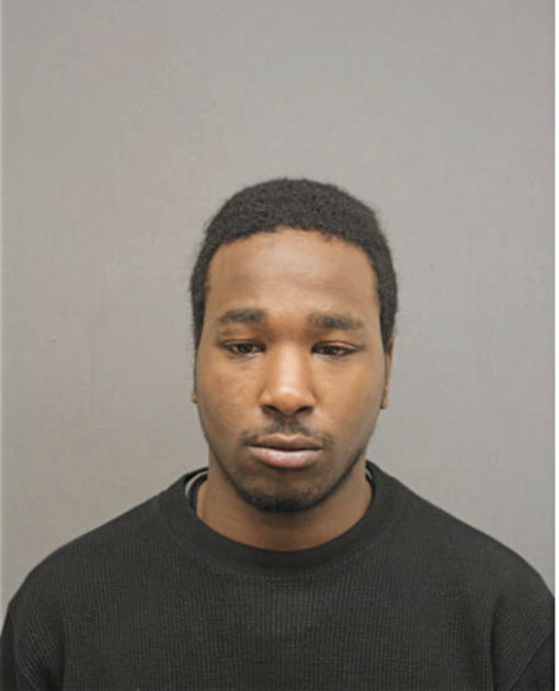 JAVANTE K HOUSTON, Cook County, Illinois