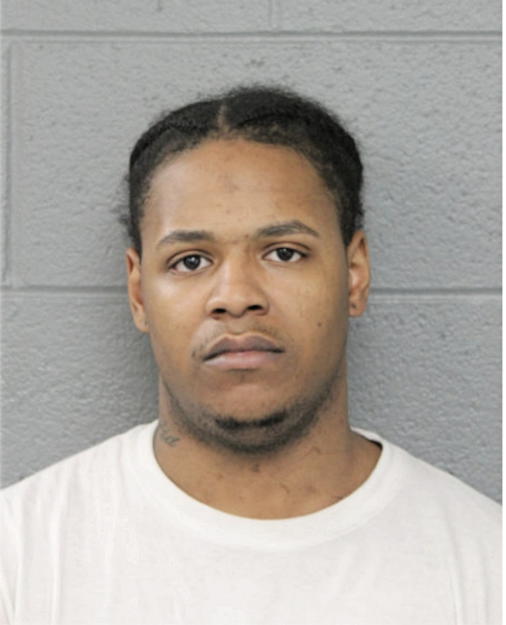 STEPHEN B LEWIS, Cook County, Illinois
