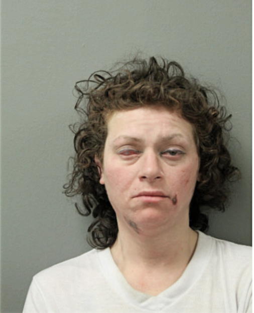 VICTORIA J LUGO, Cook County, Illinois