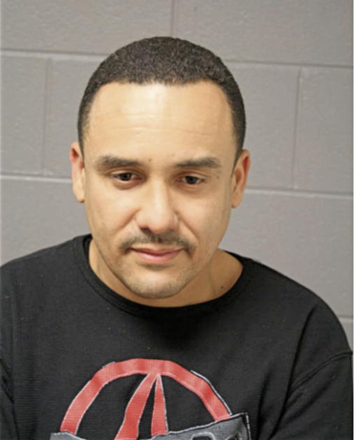LUIS A MALDONADO, Cook County, Illinois