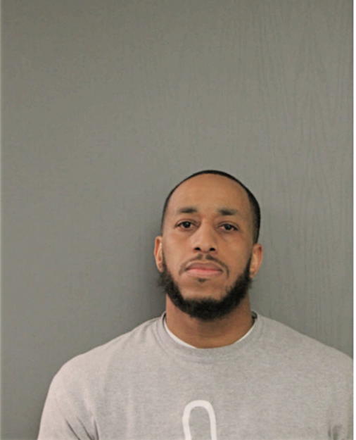 BRIAN E MARTIN, Cook County, Illinois