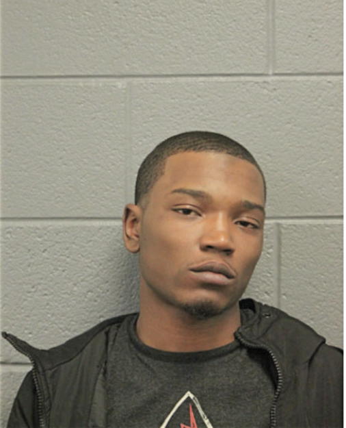 MARSHION D MCKINNEY-PALM, Cook County, Illinois