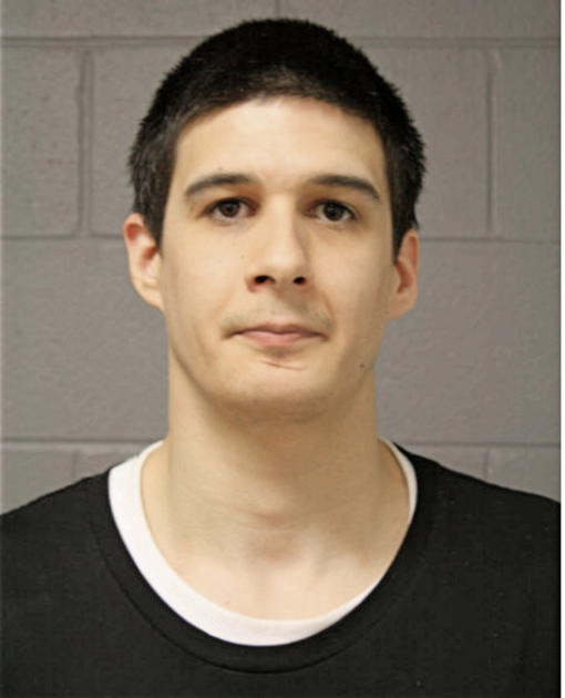 BRYAN J MCQUEEN, Cook County, Illinois