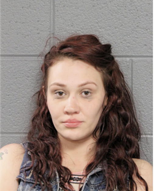 AMANDA E MICEK, Cook County, Illinois